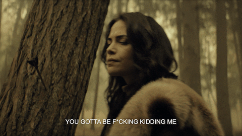 Are You Kidding Me Wonder Girl GIF by HBO Max