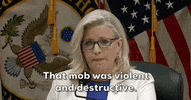 Liz Cheney GIF by GIPHY News