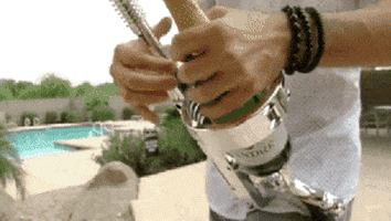 bottle champagne GIF by Product Hunt