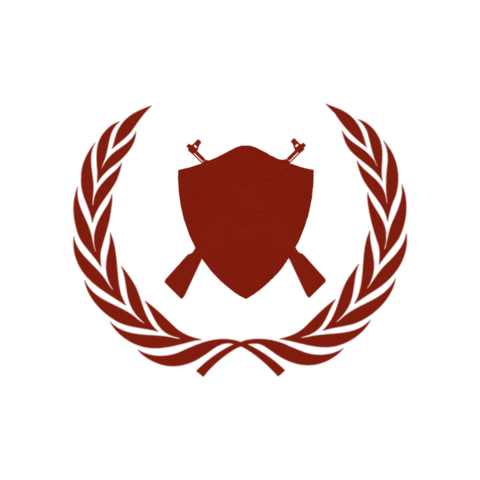 ANUDImadrid giphygifmaker symun security council symun security council Sticker