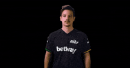 Brazil Vamos GIF by MIBR