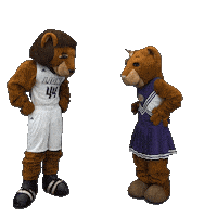 North Alabama Mascot Sticker by University of North Alabama