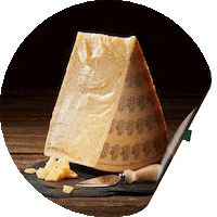 sbrinz cheese kase aop swiss cheese Sticker