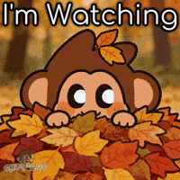 Surprised Hide And Seek GIF by Chimpers