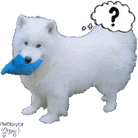 Dog What Sticker