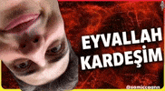 Thanks Ahmet GIF