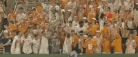 World Series Baseball GIF by NCAA Championships