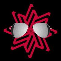 Schatteria sun sunglasses schatteria GIF