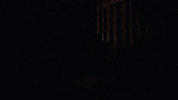 Scared Horror GIF by Outtake Productions