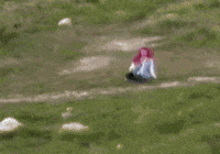 Cao Running GIF