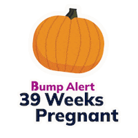 Pregnancy 39 Weeks Sticker by The Bump