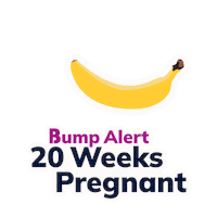 Baby Alert 20 Weeks Sticker by The Bump