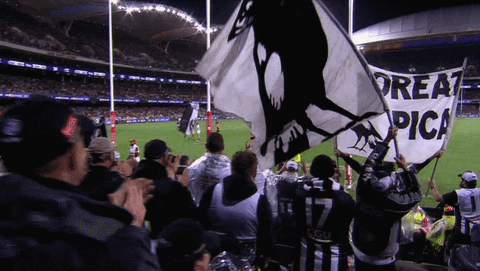 crowd magpies GIF by CollingwoodFC