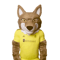 Mascot Thumbs Up Sticker by Nashville SC