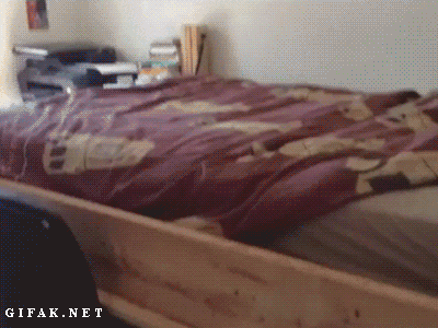 my the office GIF