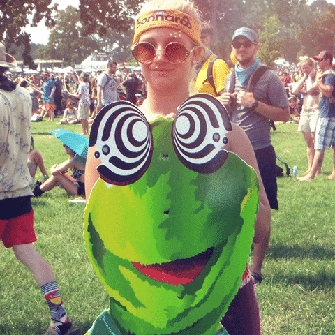 kermit the frog bonnaroo GIF by mtv