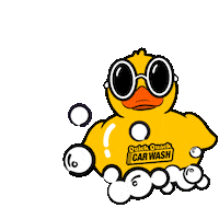 Car Wash Duck Sticker by Quick Quack