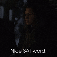 Nice SAT Word