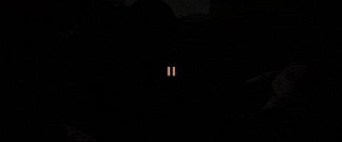 Bollywood GIF by Ashutosh Gowariker Productions