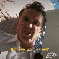 Are You Good Always Sunny GIF by It's Always Sunny in Philadelphia