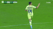 Nicolas Benedetti Celebration GIF by Club America