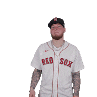 Red Sox Baseball Sticker by Boston Red Sox