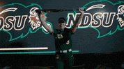 Ndsu Softball GIF by NDSU Athletics