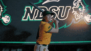 GIF by NDSU Athletics