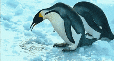 penetration GIF