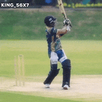 Babar Zalmi GIF