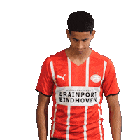 Football Celebrate Sticker by PSV
