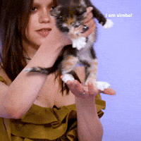 I Am Simba!
