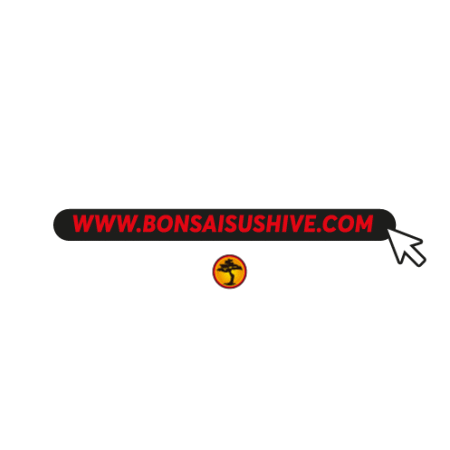 Bonsaisushive food japan shop delivery Sticker