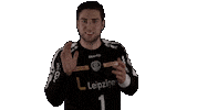 Handball-Bundesliga Sport Sticker by LIQUI MOLY HBL