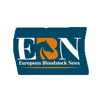Bloodstocknews horse racing horseracing bloodstock ebn Sticker