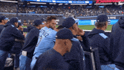 Lets Go Good Job GIF by Toronto Blue Jays