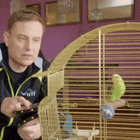 GIF by NTE Grøntforsprang