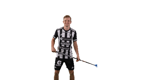 Floorball Salibandy Sticker by F-liiga