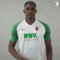 La Pantera Kiss GIF by FC Augsburg 1907