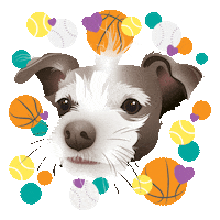 Pet Portrait Sticker