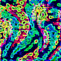 balazsvarga trippy psychedelic color action GIF