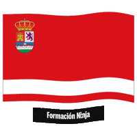 Bandera Sticker by Formación Ninja