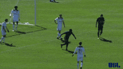 2018 season football GIF by USL