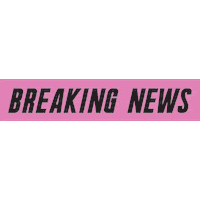 Breaking News Sticker by Betches