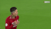 premier league love GIF by Liverpool FC