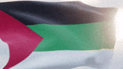 علم GIF