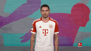 No Way Football GIF by Bundesliga