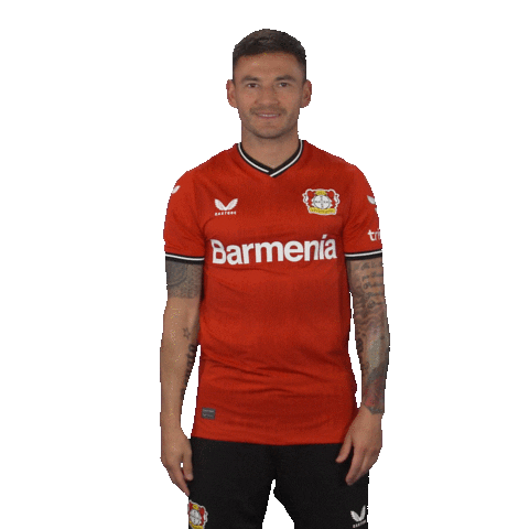 Love And Peace Win Sticker by Bayer 04 Leverkusen
