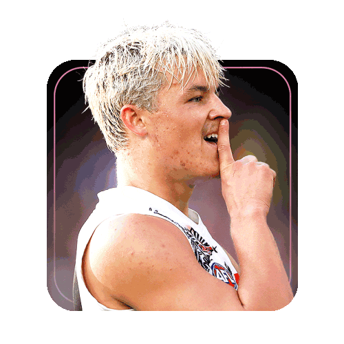 Afl Collingwood Stickers Find & Share on GIPHY