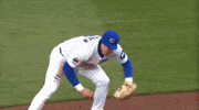 Finger Up Chicago Cubs GIF by TheDreamTeam 